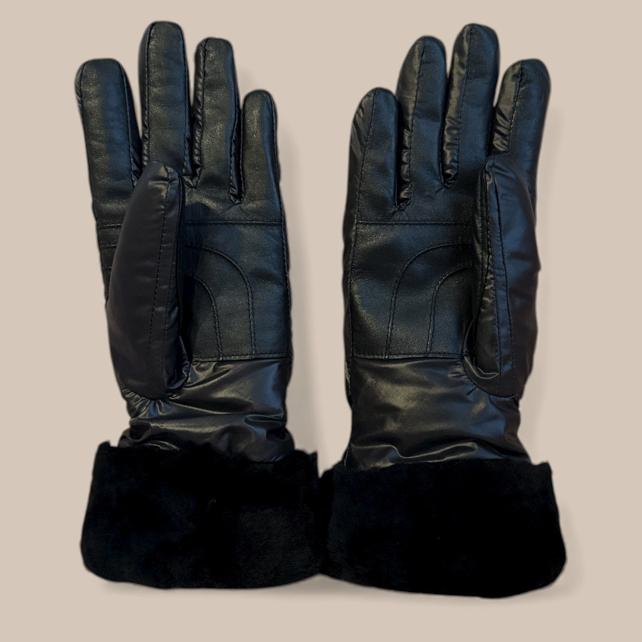 NWT Ugg Fontanne Smart Gloves
